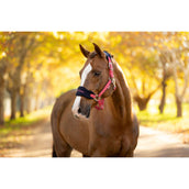 LeMieux Halsterset Vogue Cranberry