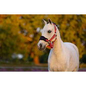 LeMieux Halsterset Mini Vogue Cranberry