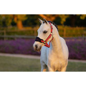 LeMieux Halsterset Mini Vogue Cranberry