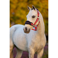 LeMieux Halsterset Mini Vogue Cranberry