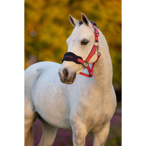 LeMieux Halsterset Mini Vogue Cranberry