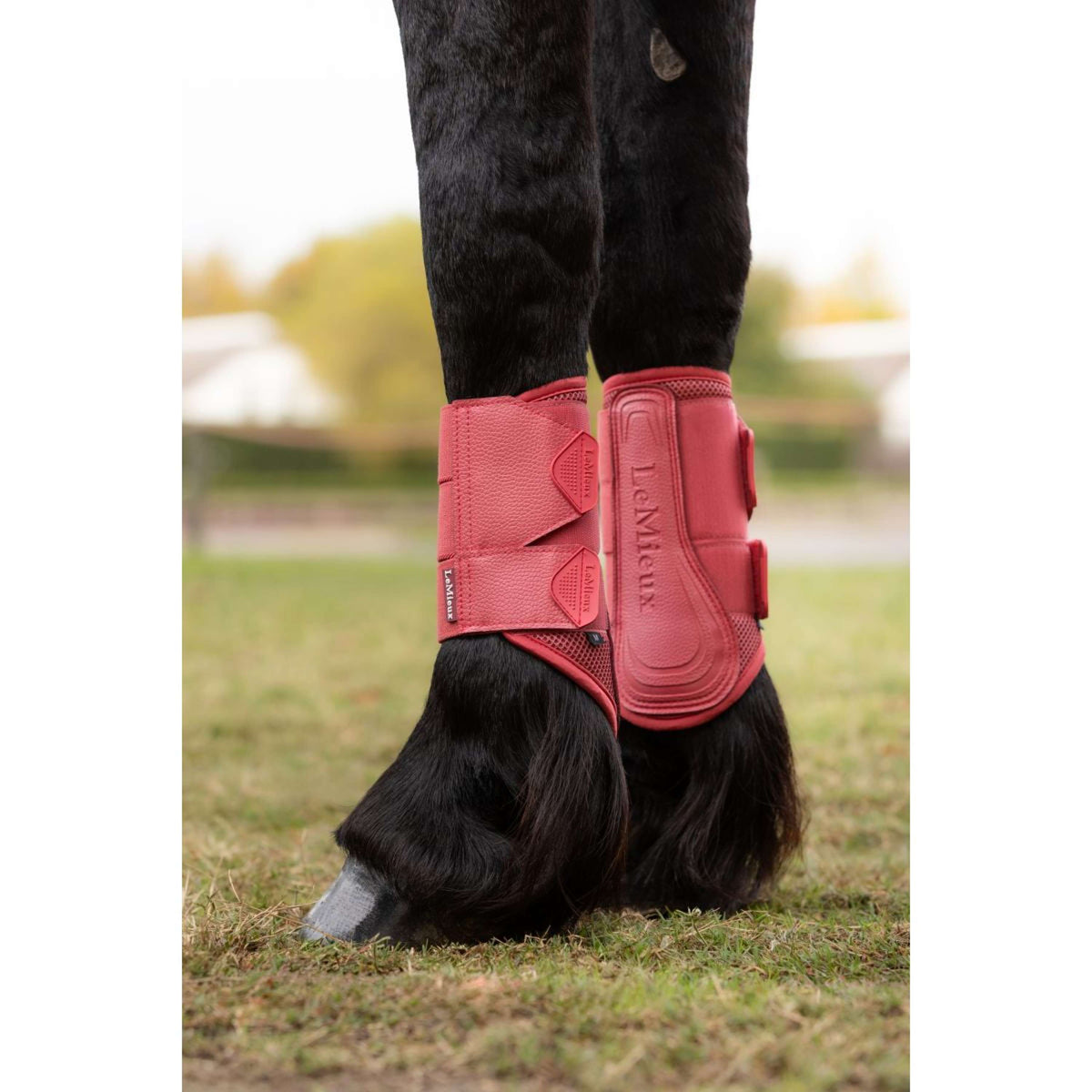LeMieux Pijpkousen Arika Mesh Cranberry