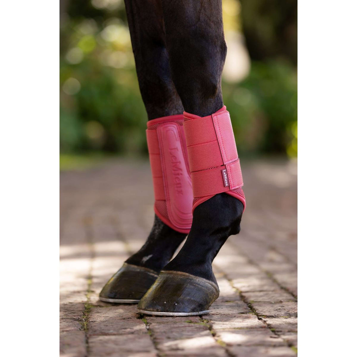 LeMieux Pijpkousen Arika Mesh Cranberry