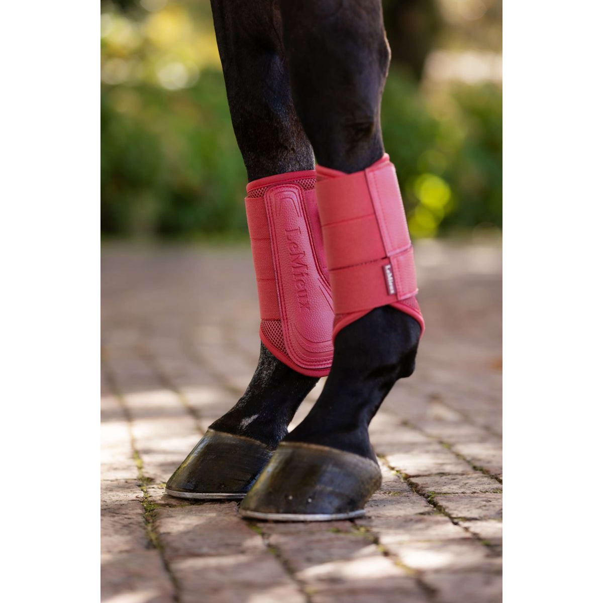 LeMieux Pijpkousen Arika Mesh Cranberry