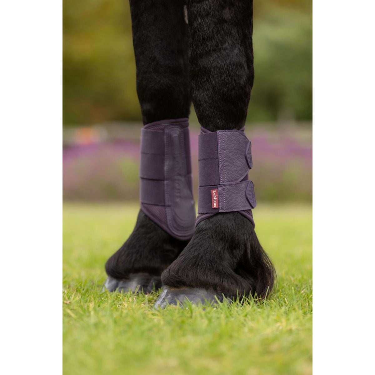 LeMieux Pijpkousen Arika Mesh Juniper