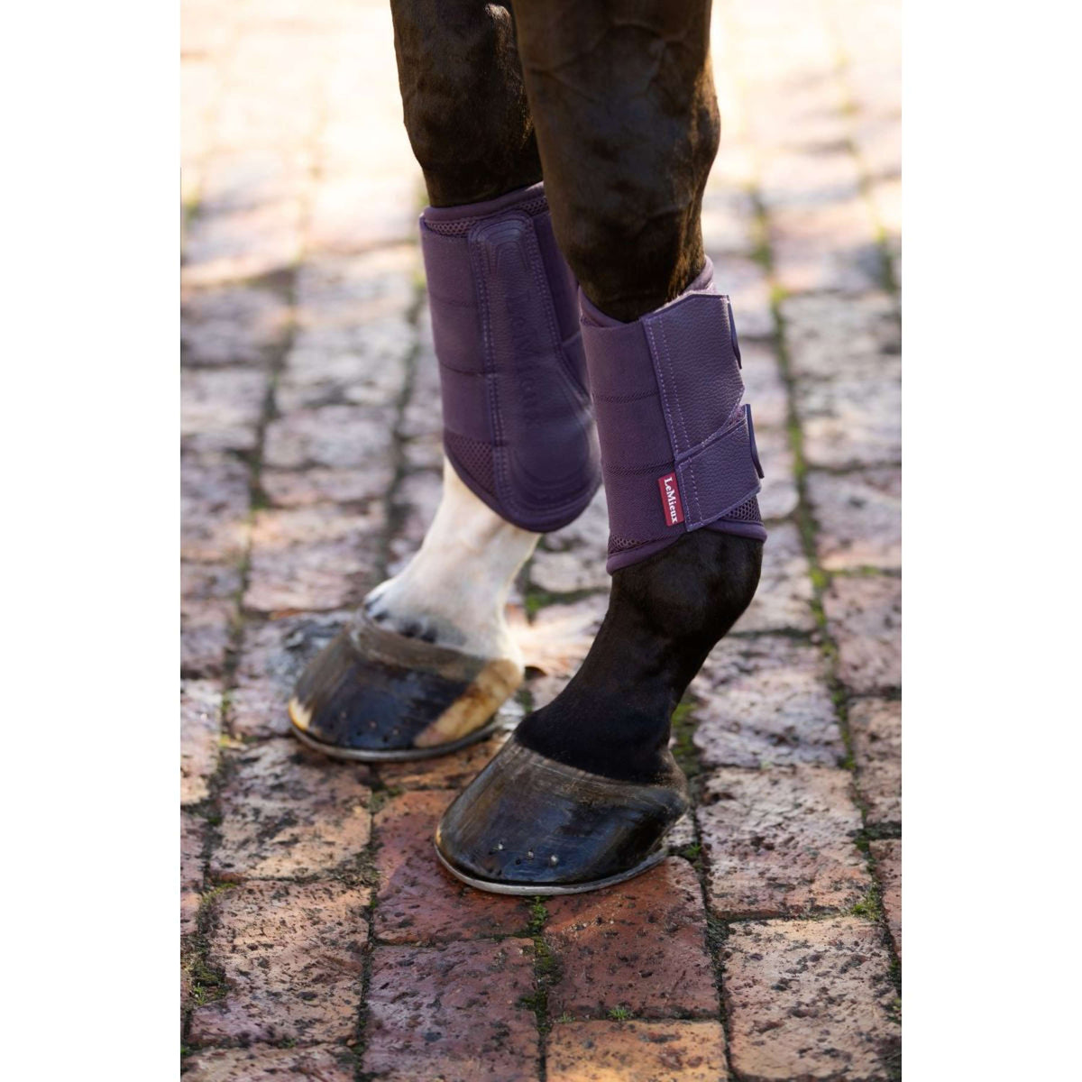 LeMieux Pijpkousen Arika Mesh Juniper