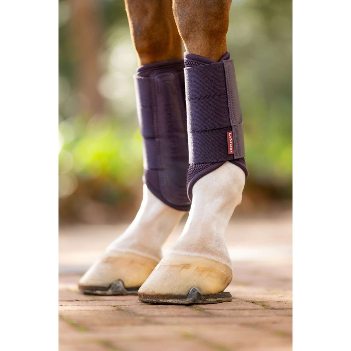 LeMieux Pijpkousen Arika Mesh Juniper