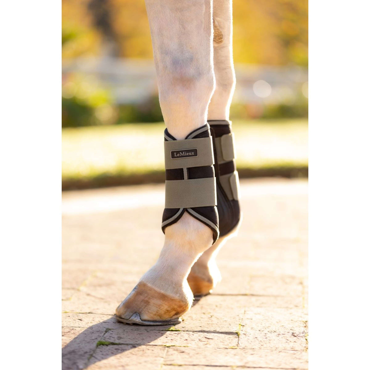 LeMieux Pijpkousen Grafter Rosemary