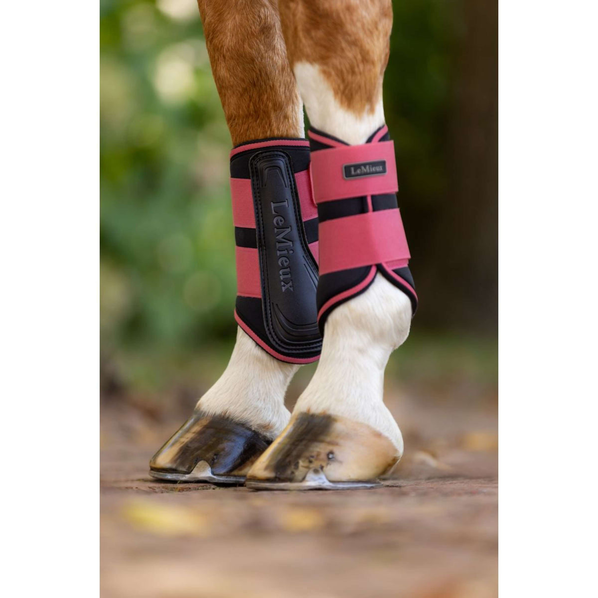 1 LeMieux Mini Grafter Brushing Boots, Set Of 2 - Wisteria Lemieux Mini ...