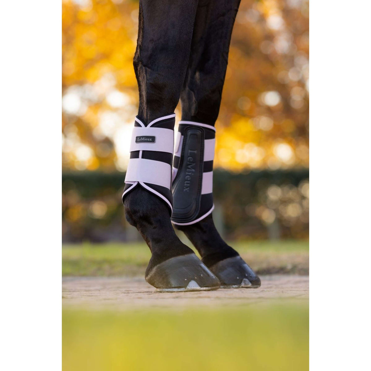 LeMieux Pijpkousen Grafter Lilac