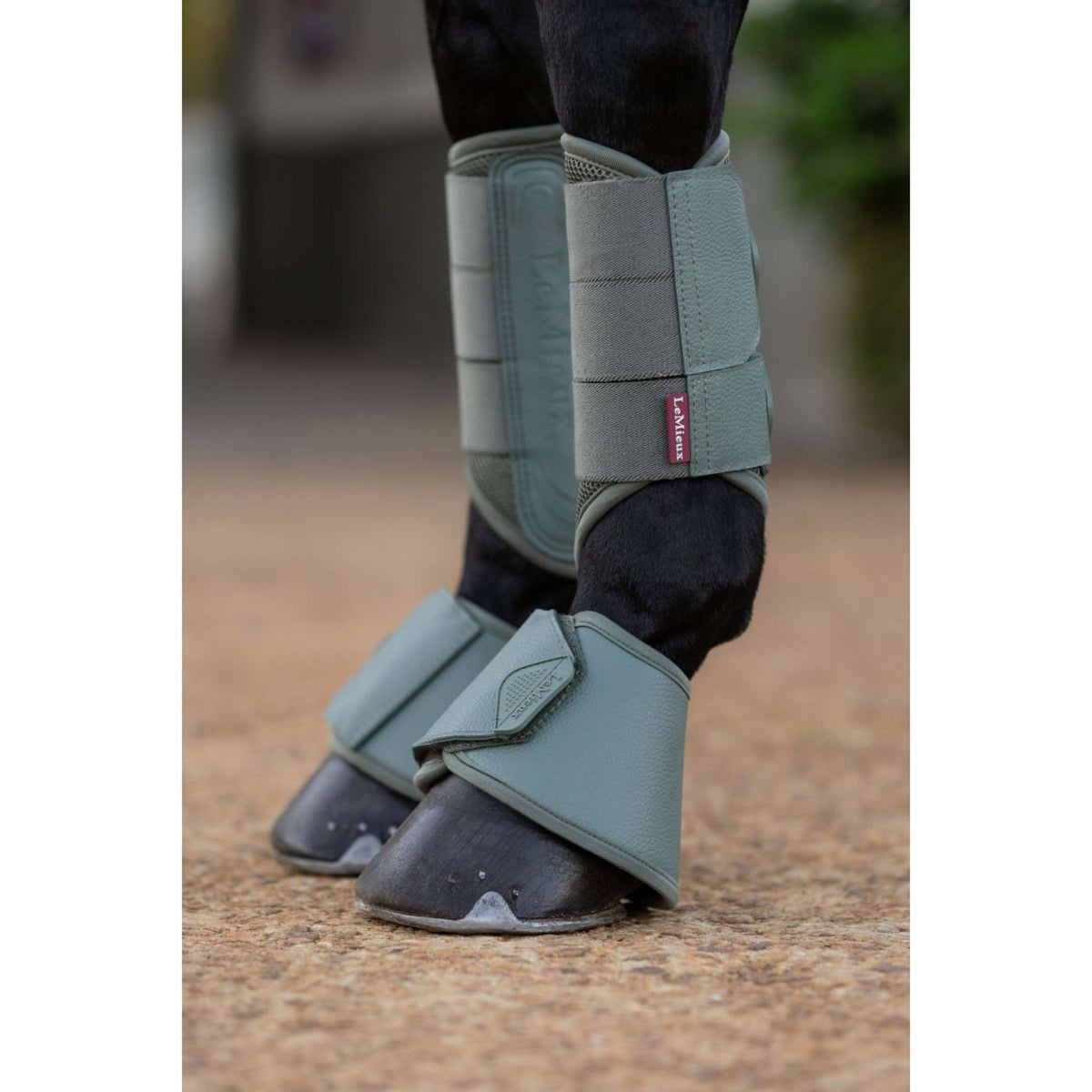 LeMieux Springschoenen Arika Rosemary