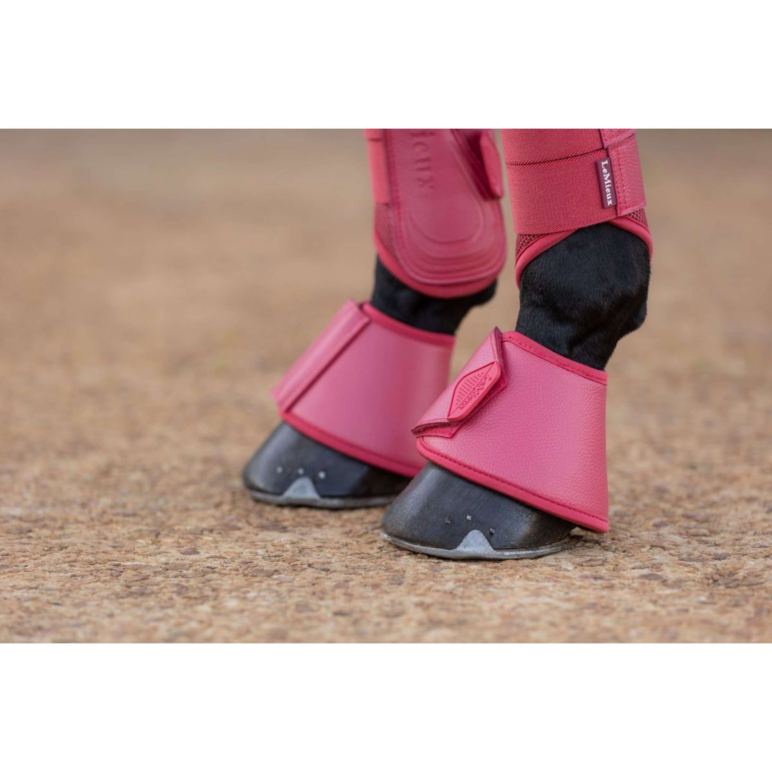 LeMieux Springschoenen Arika Cranberry