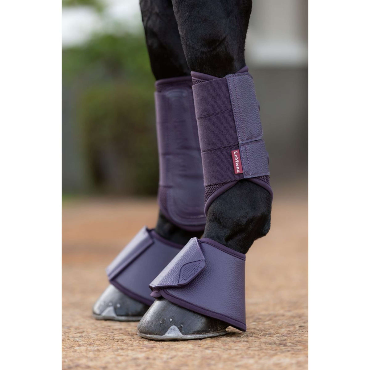 LeMieux Springschoenen Arika Juniper