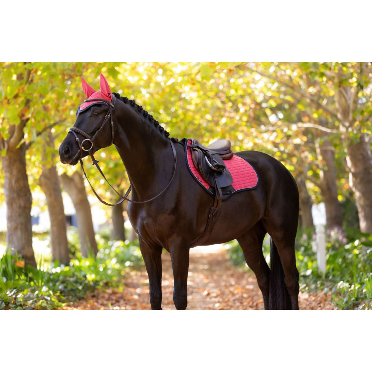 LeMieux Zadeldekje Suede Springen Cranberry