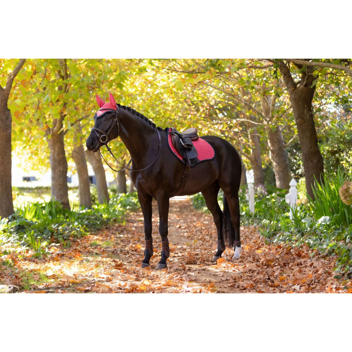 LeMieux Zadeldekje Suede Springen Cranberry