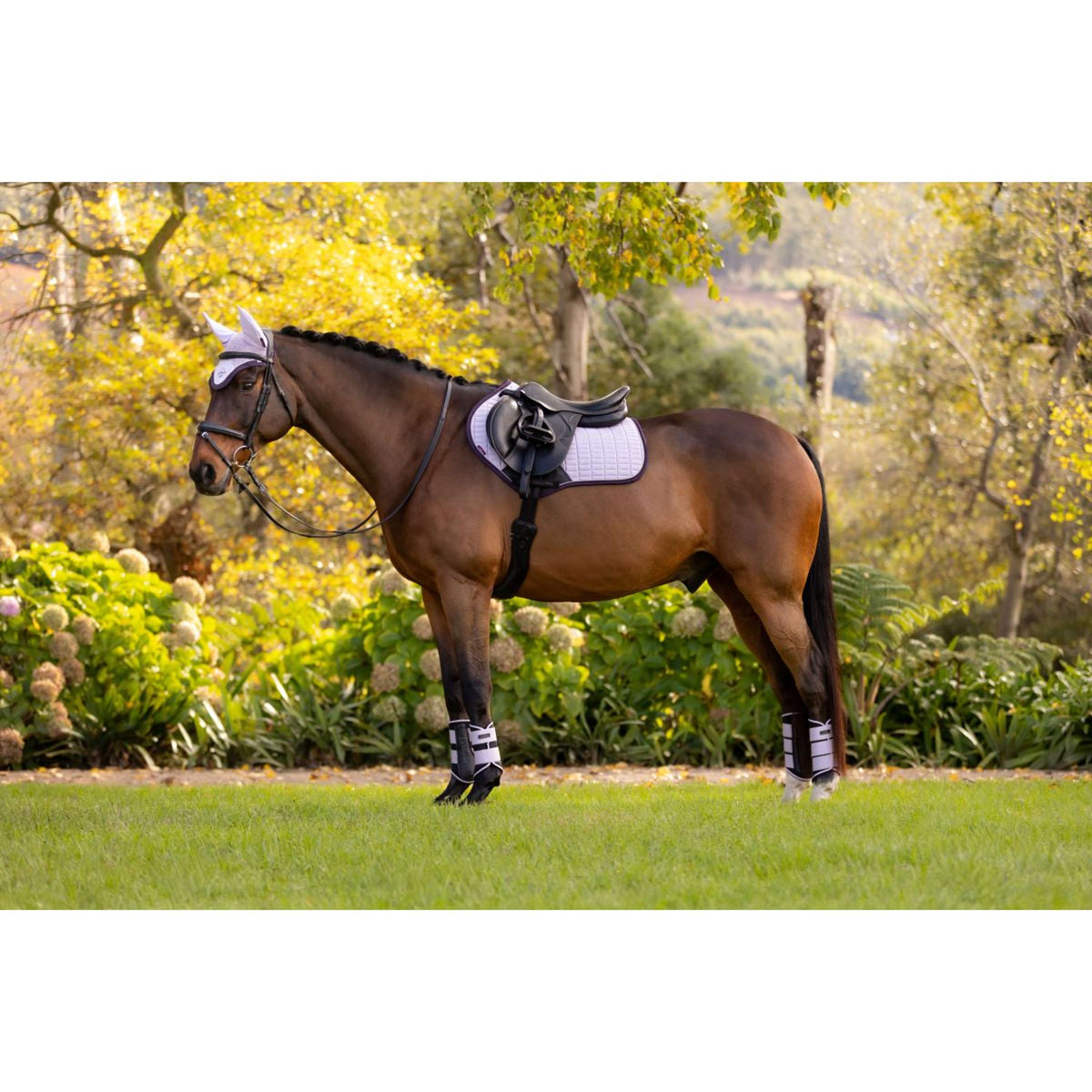 LeMieux Zadeldekje Suede Springen Lilac