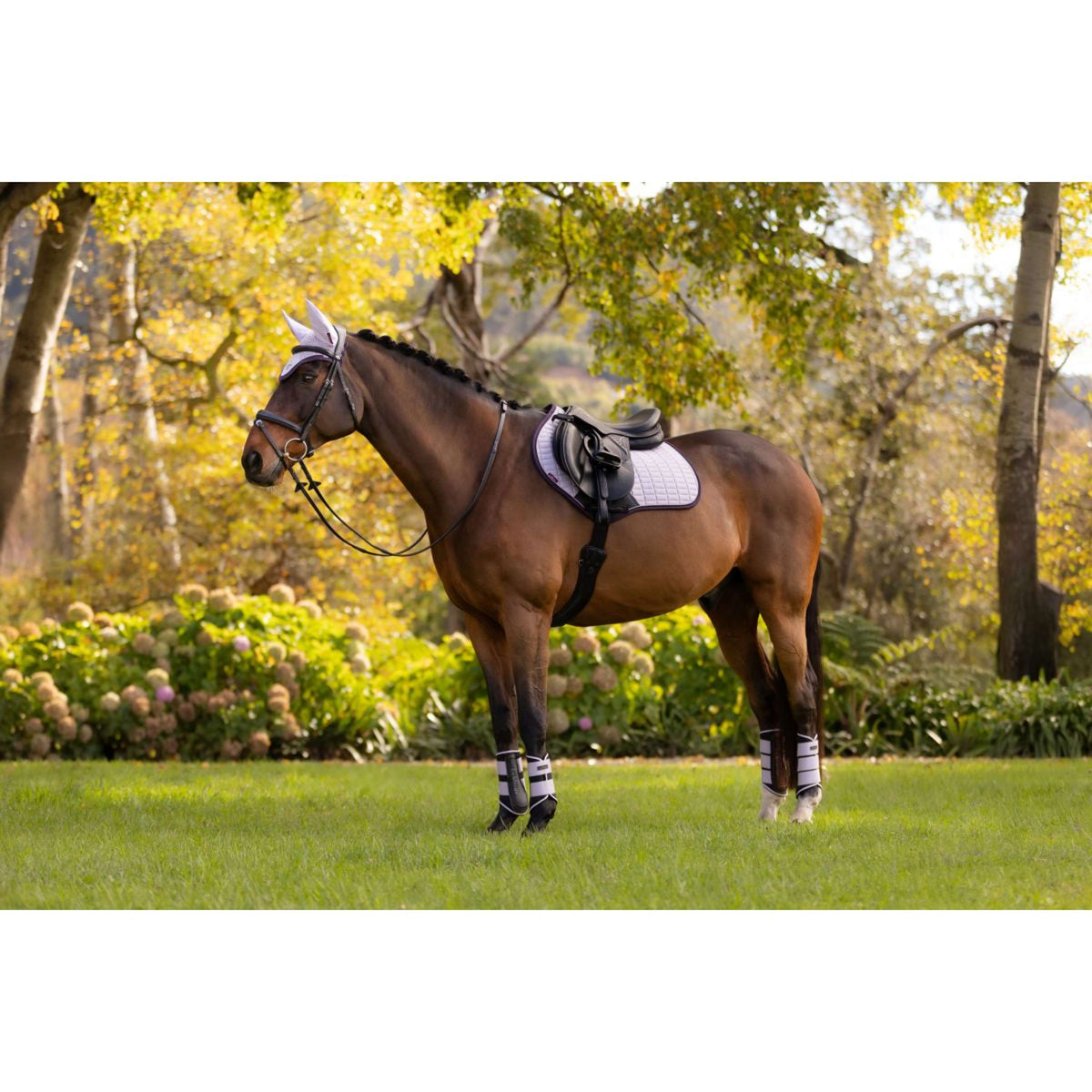 LeMieux Zadeldekje Suede Springen Lilac