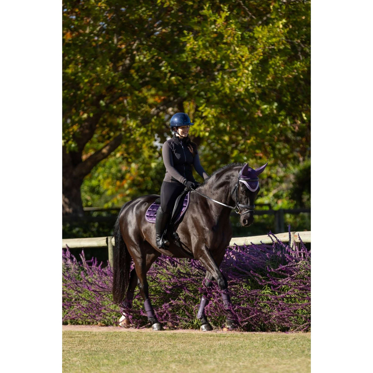 LeMieux Zadeldekje Merino Loire Classic Springen Juniper