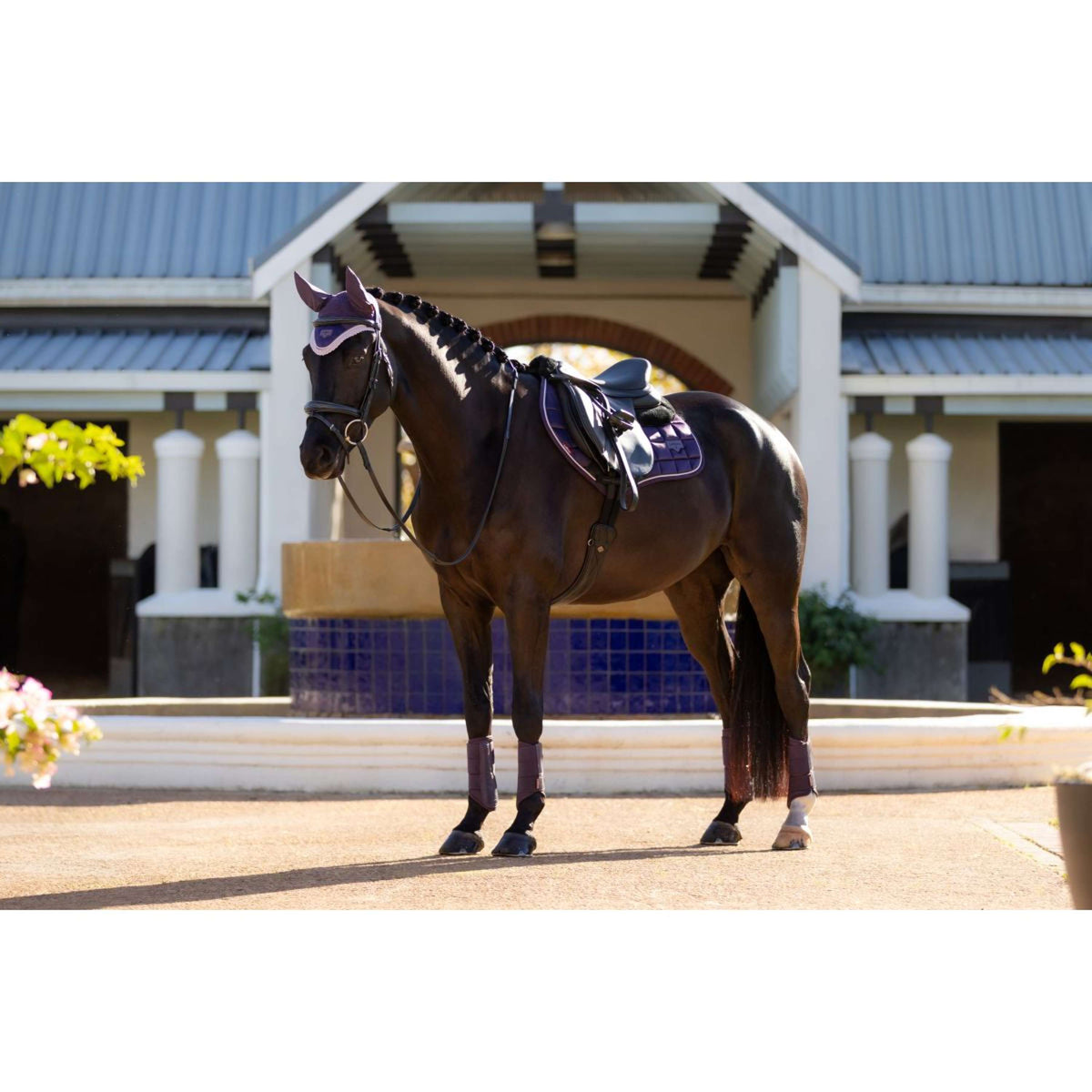 LeMieux Zadeldekje Merino Loire Classic Springen Juniper