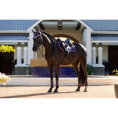 LeMieux Zadeldekje Merino Loire Classic Springen Juniper