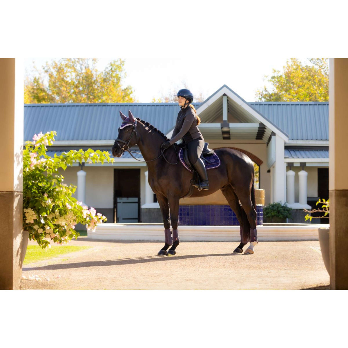 LeMieux Zadeldekje Merino Loire Classic Springen Juniper