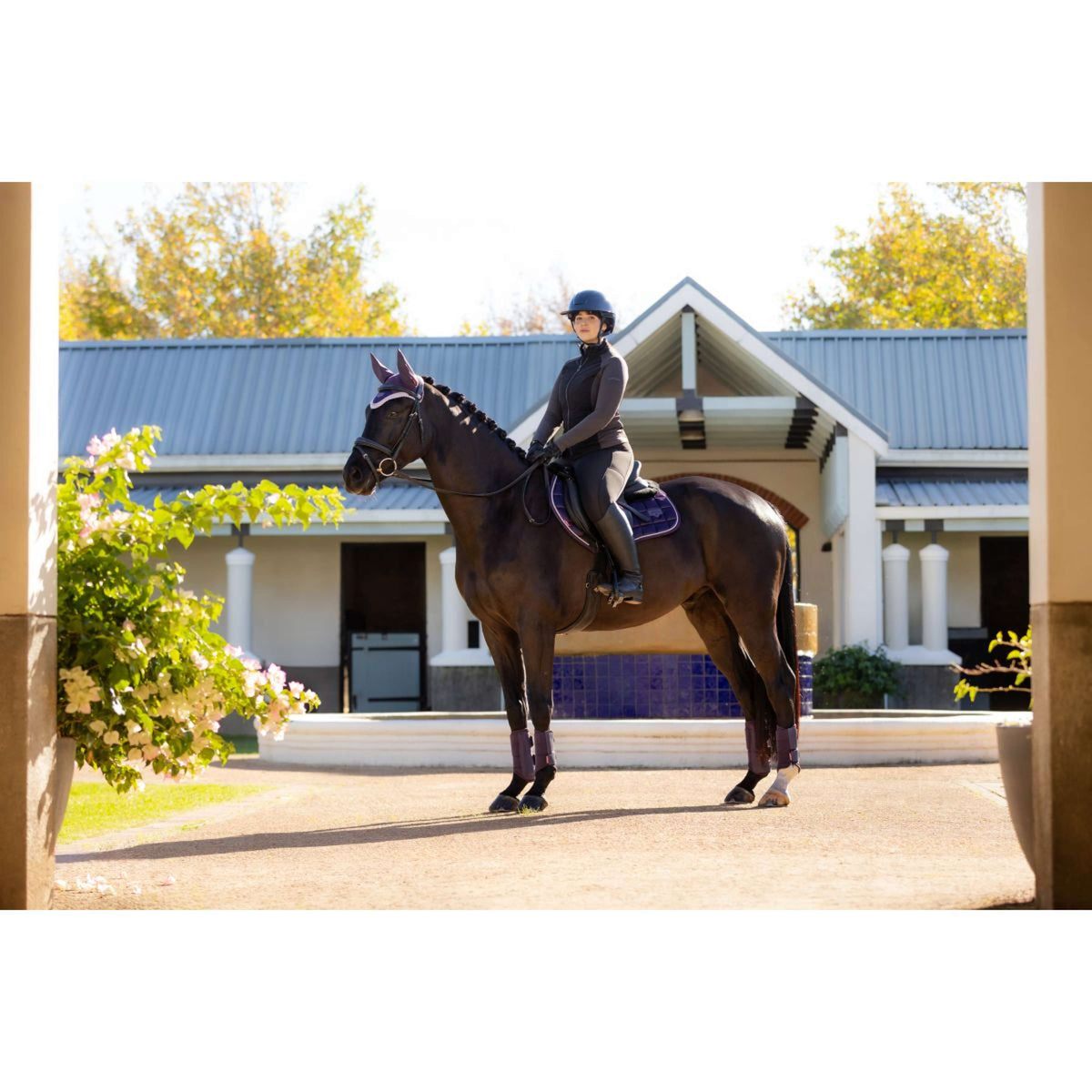 LeMieux Zadeldekje Merino Loire Classic Springen Juniper