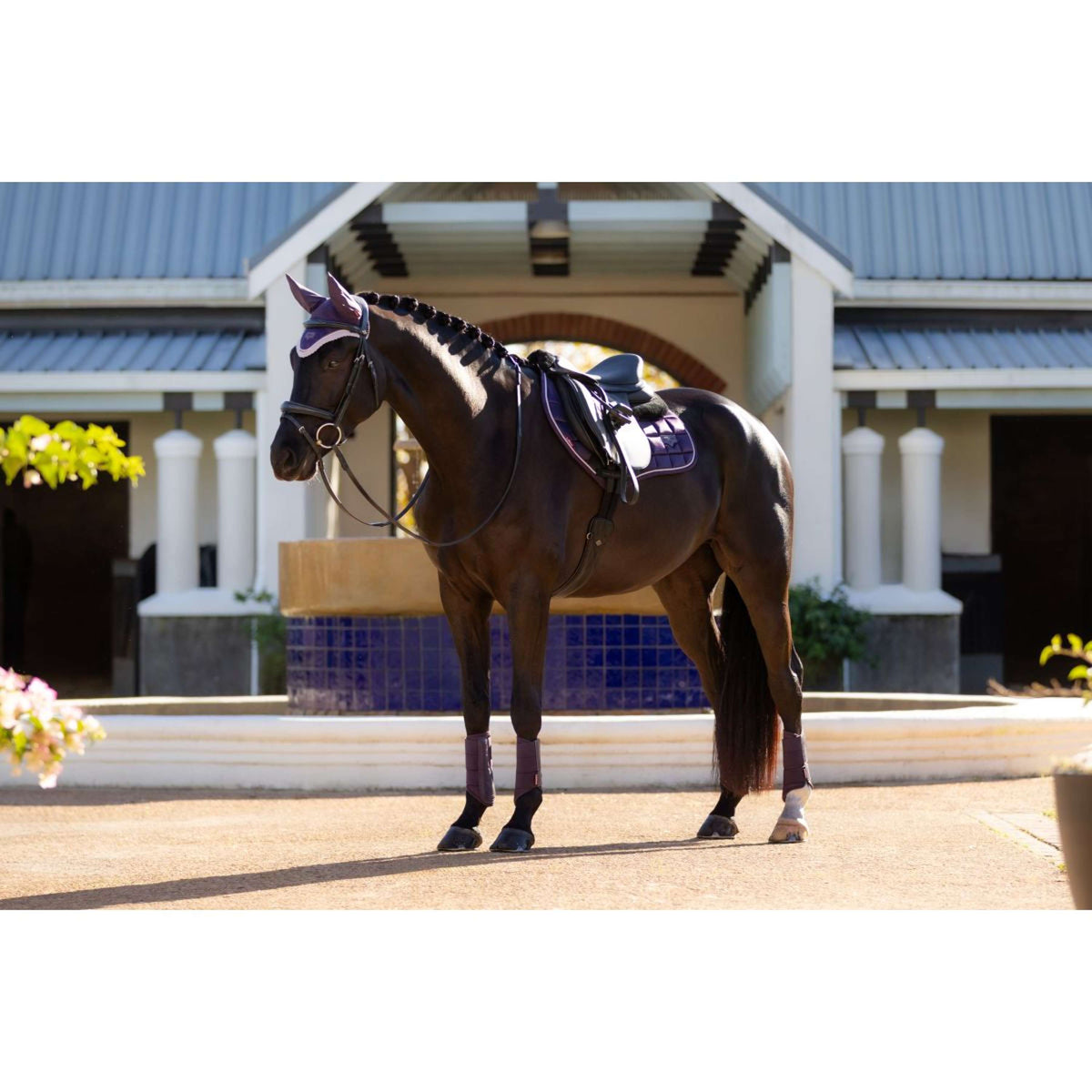 LeMieux Zadeldekje Merino Loire Classic Springen Juniper