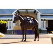 LeMieux Zadeldekje Merino Loire Classic Springen Juniper