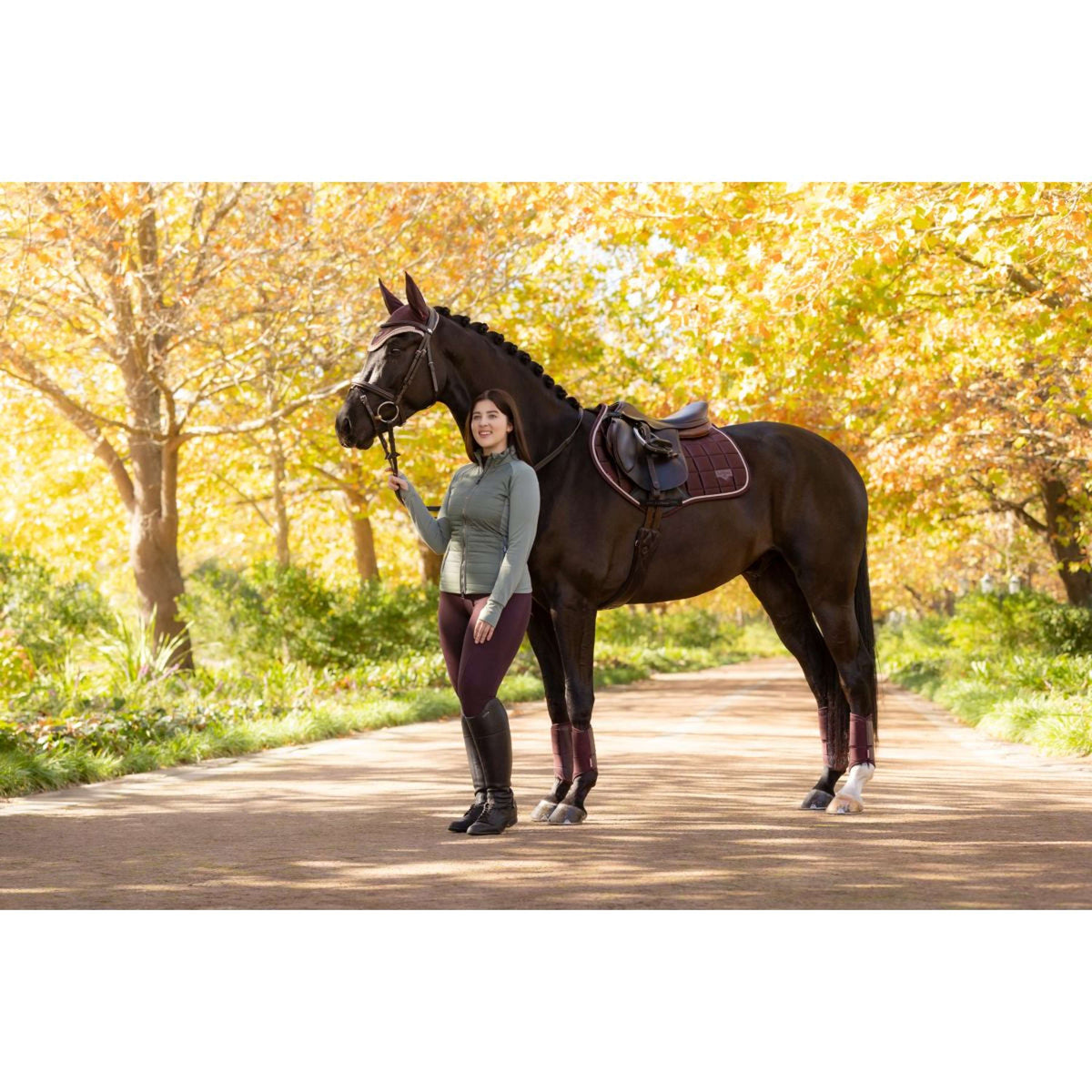 LeMieux Zadeldekje Loire Classic Springen Damson