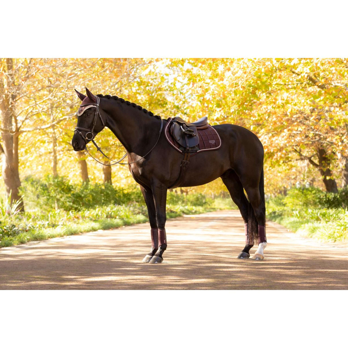 LeMieux Zadeldekje Loire Classic Springen Damson