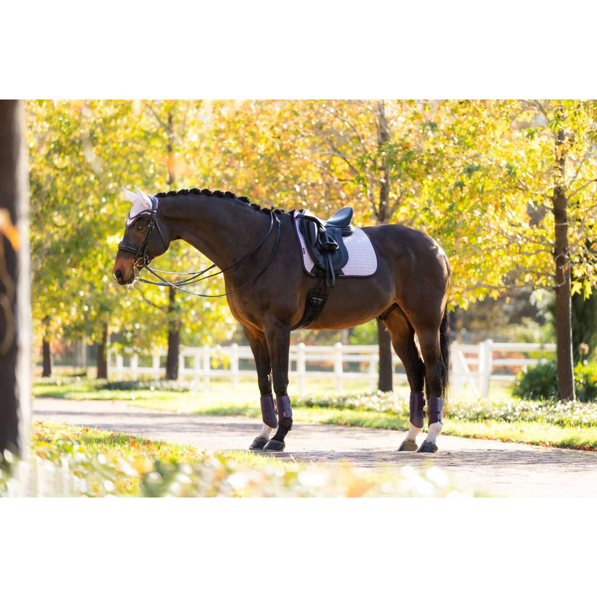 LeMieux Zadeldekje Suede Dressuur Lilac