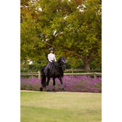 LeMieux Zadeldekje Loire Classic Dressuur Juniper