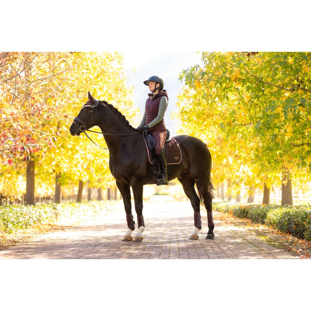 LeMieux Zadeldekje Loire Classic Dressuur Damson