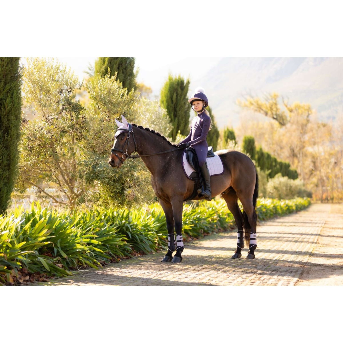 LeMieux Zadeldekje Suede Veelzijdigheid Lilac