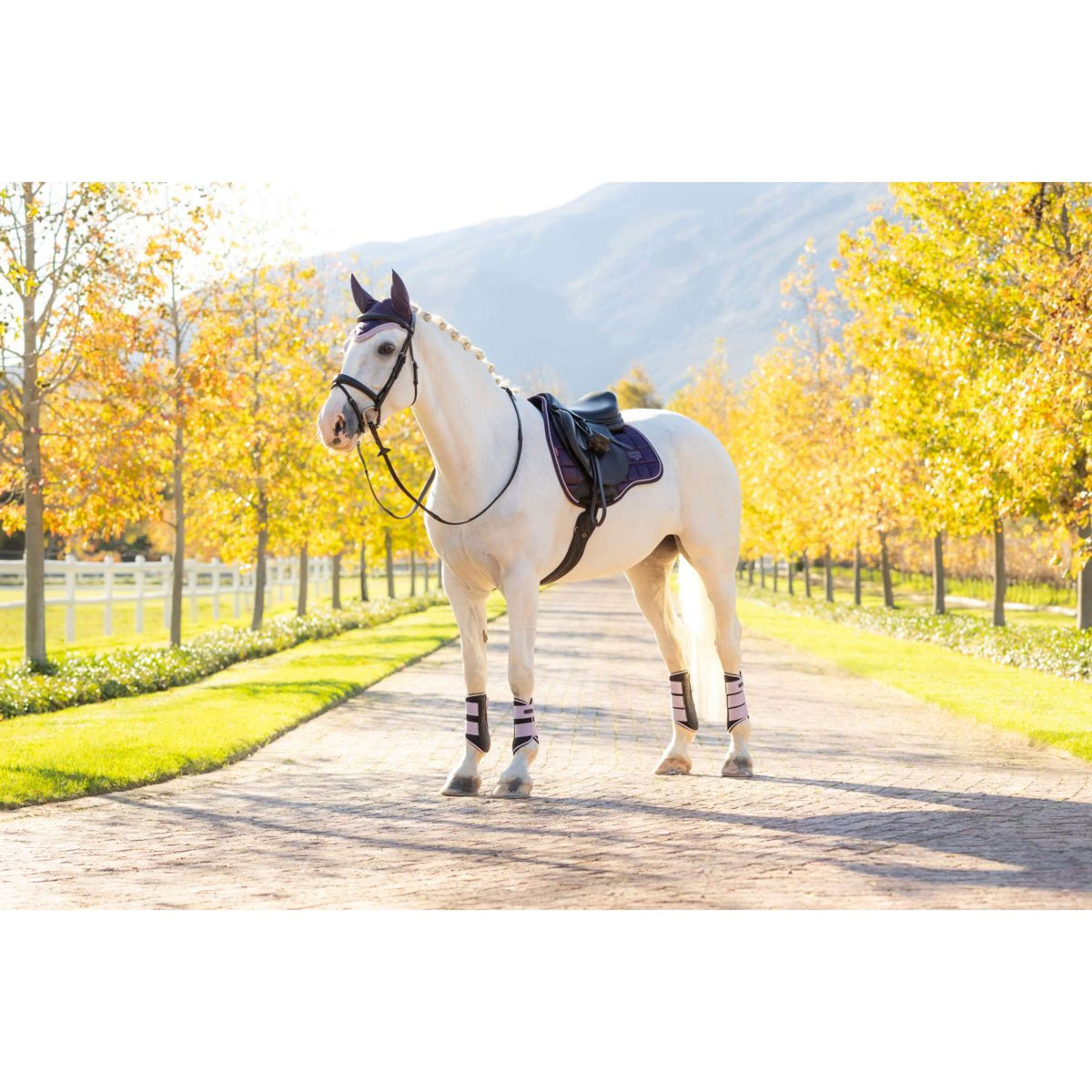 LeMieux Zadeldekje Loire Classic Veelzijdigheid Juniper