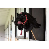 LeMieux Hobby Horse Halster Vogue Cranberry