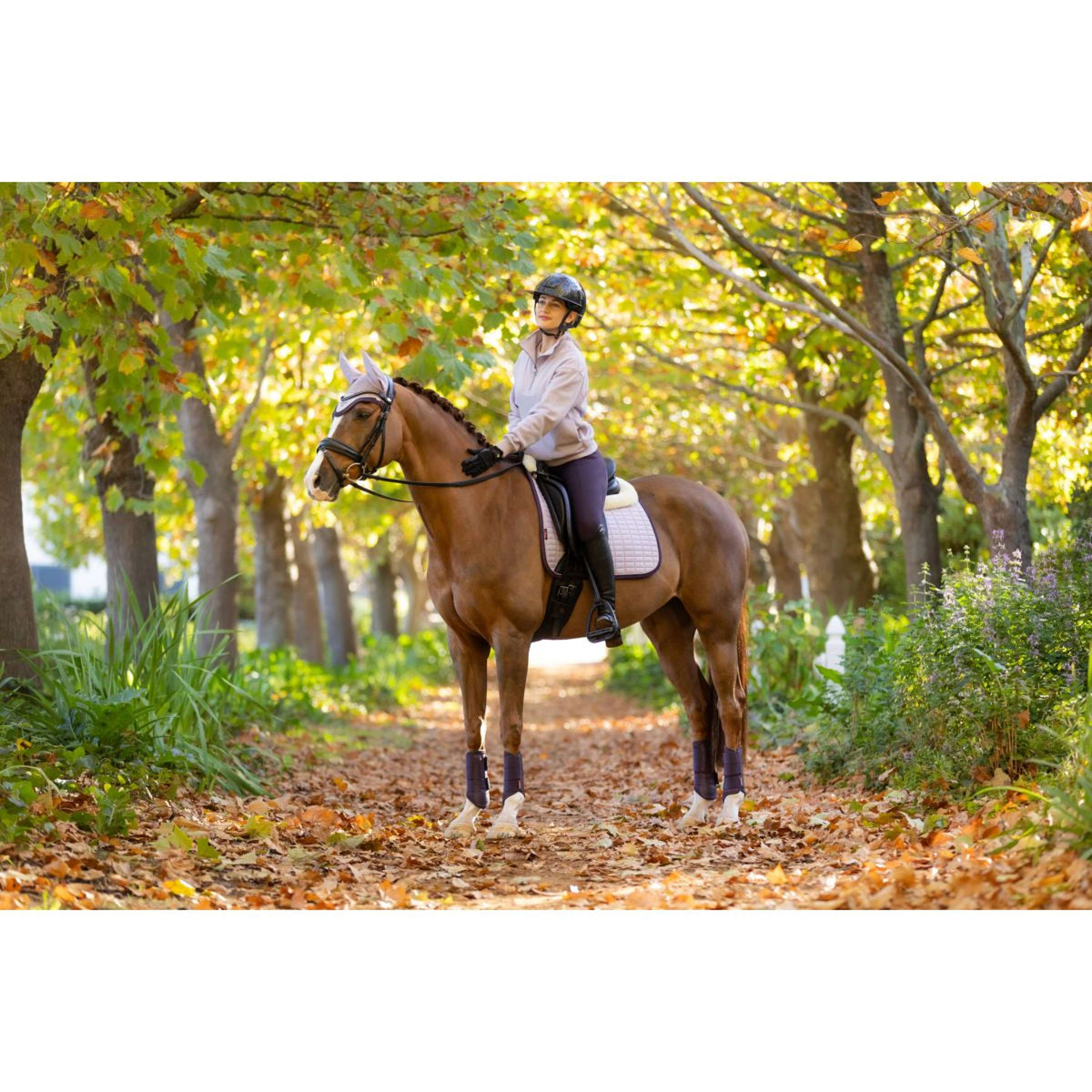 LeMieux Sweater Keira Lilac