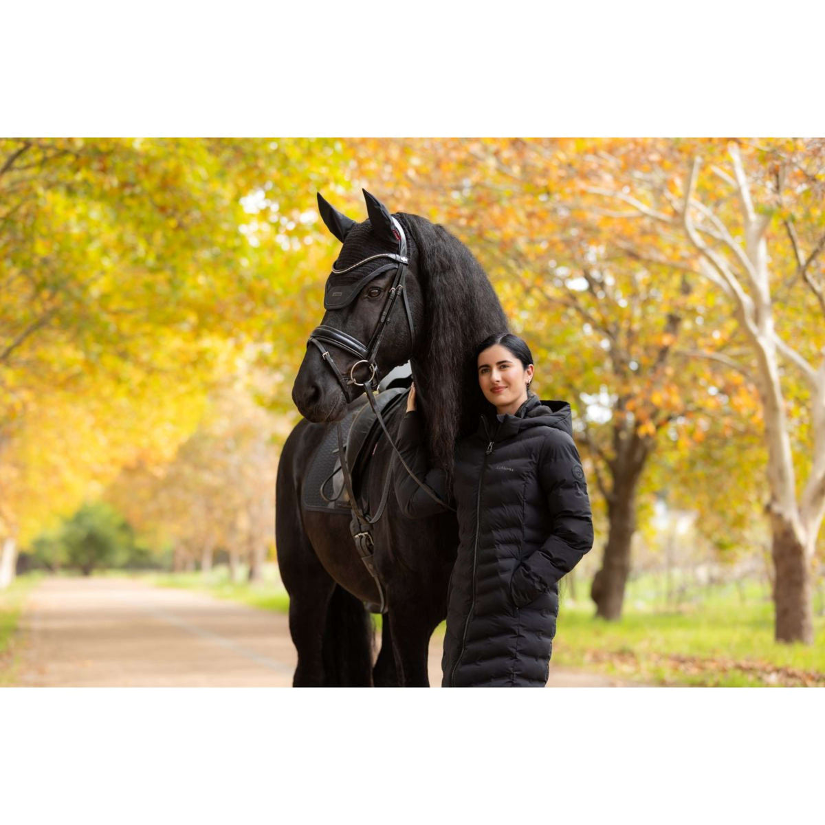 LeMieux Jas Hayley Lang Zwart