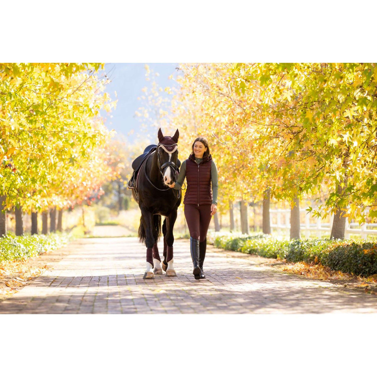 LeMieux Bodywarmer Rose Damson