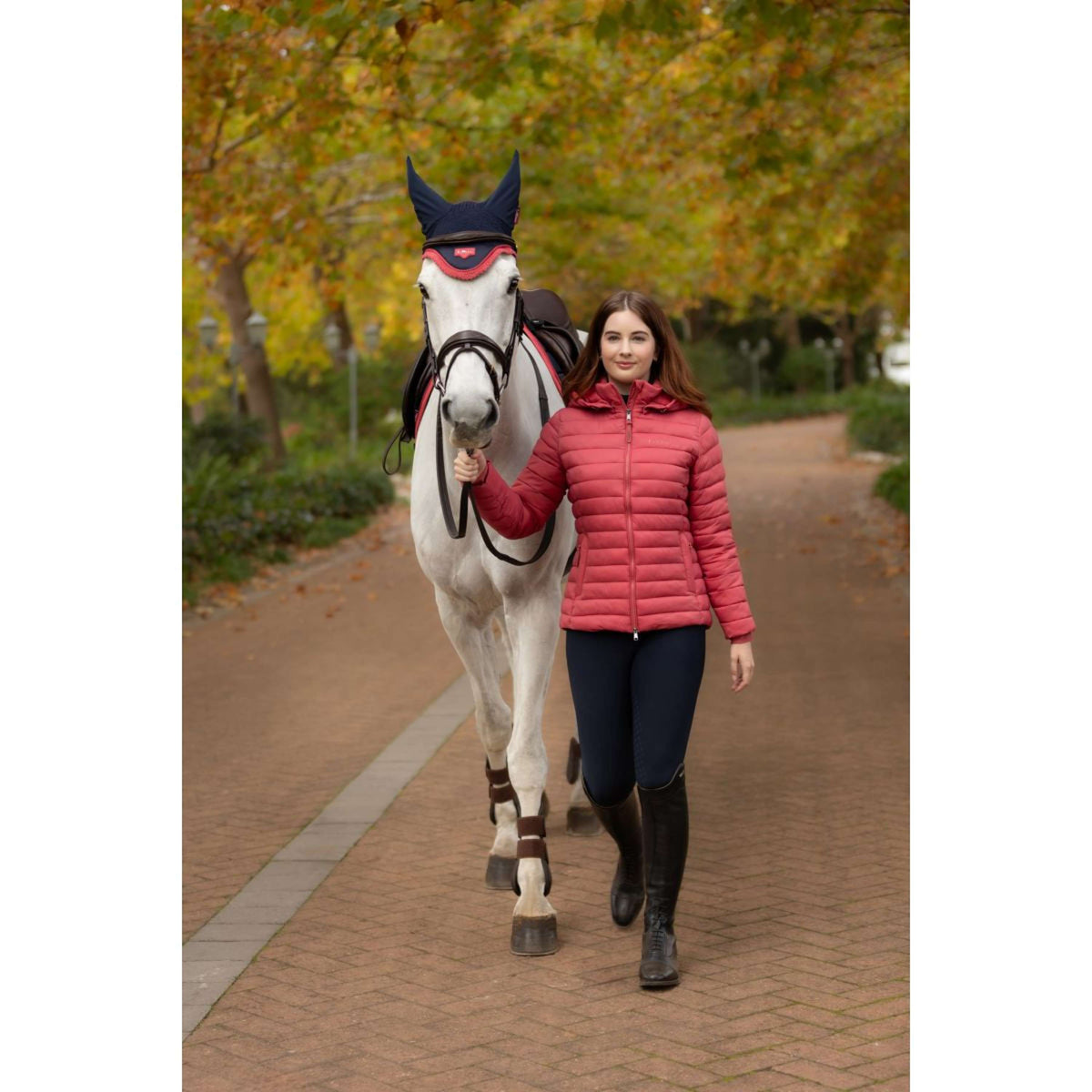 LeMieux Jas Rose Kort Cranberry