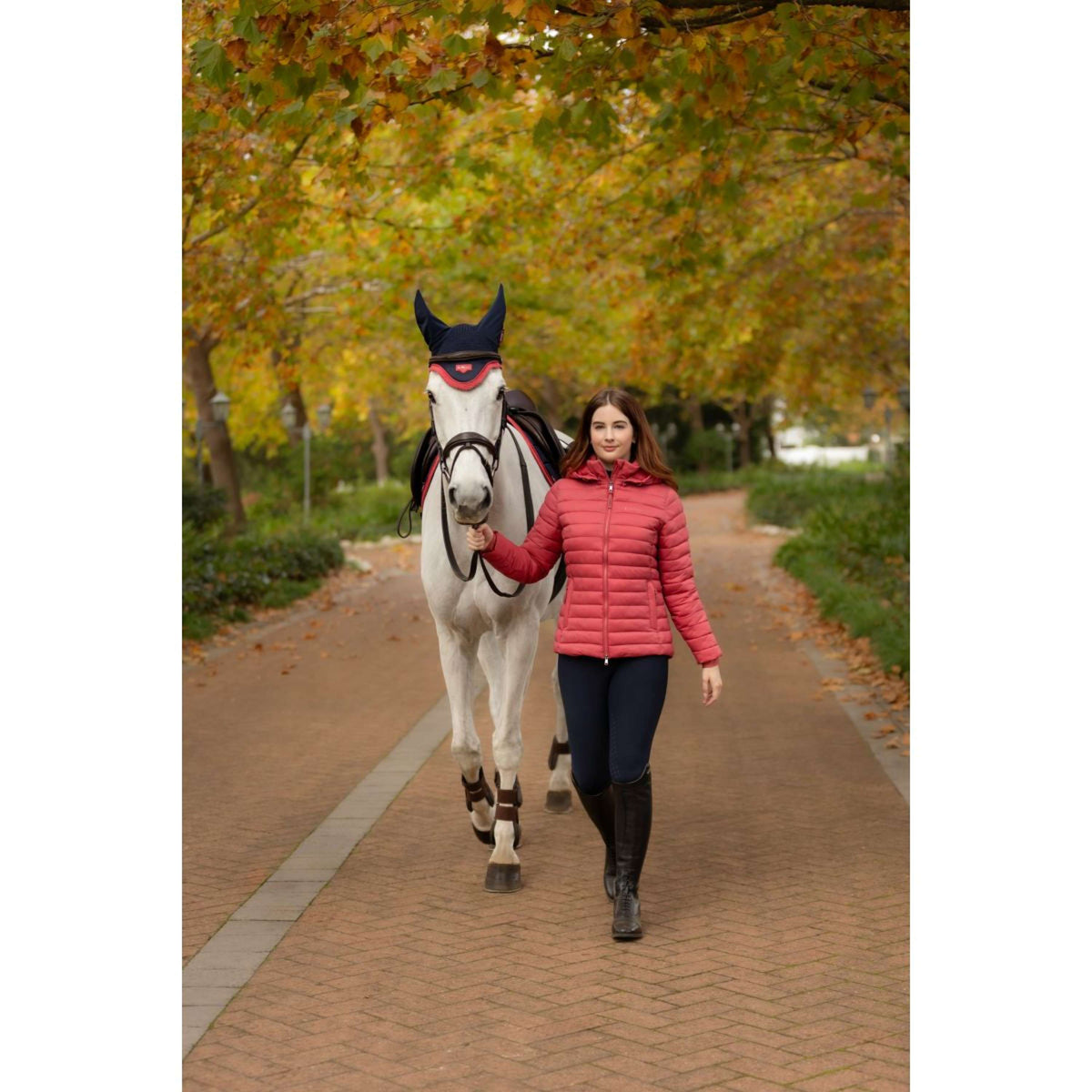 LeMieux Jas Rose Kort Cranberry