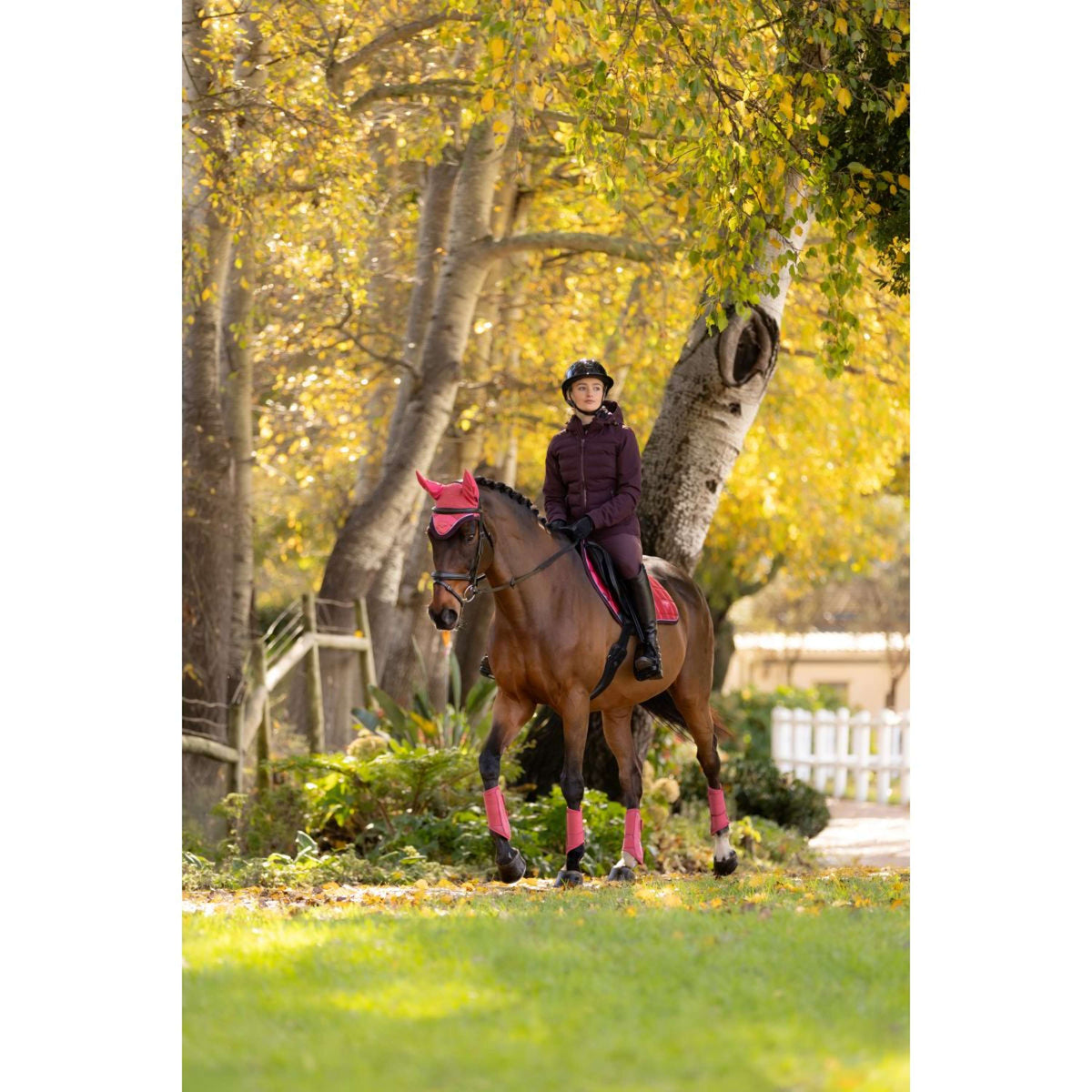 LeMieux Jas Brooke Waterproof Damson