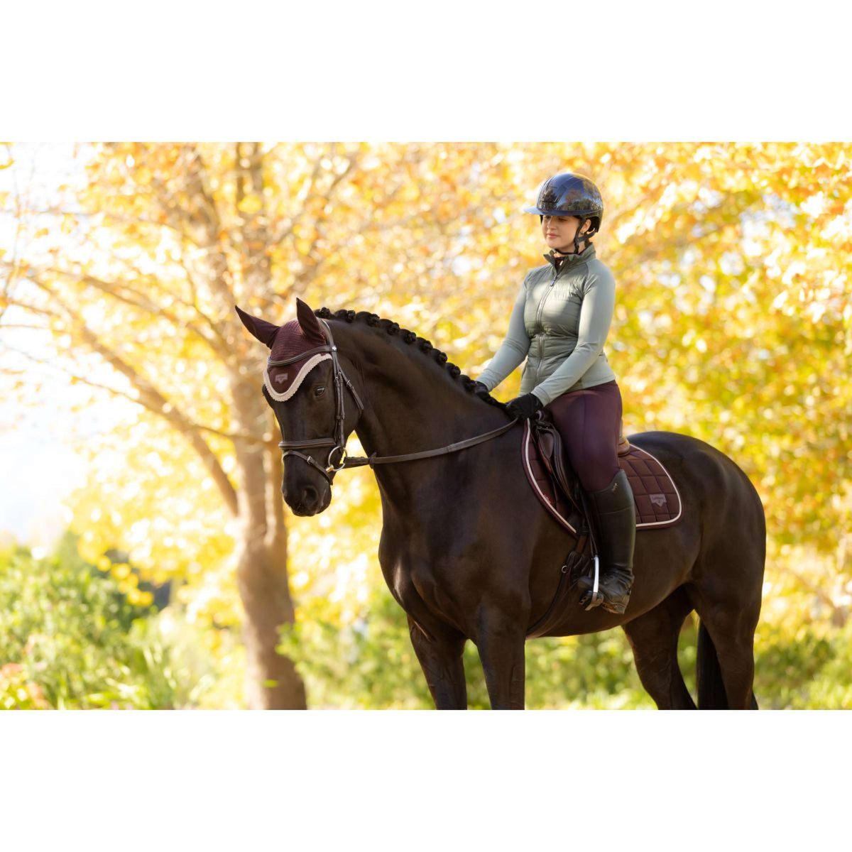 LeMieux Jas Juliette Kort Rosemary