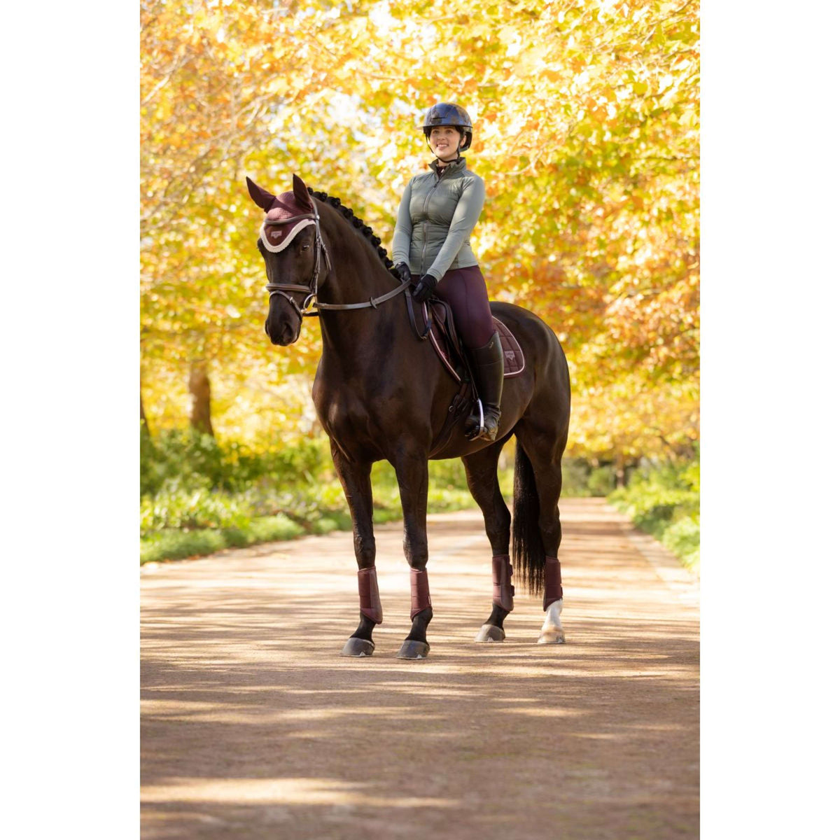 LeMieux Jas Juliette Kort Rosemary