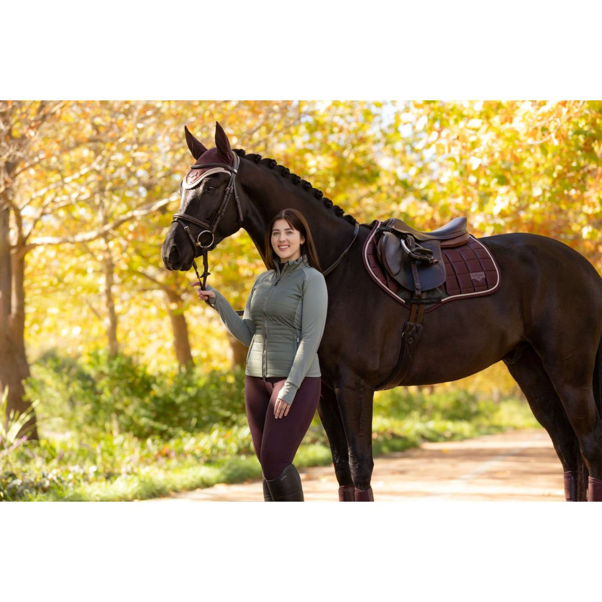 LeMieux Jas Juliette Kort Rosemary