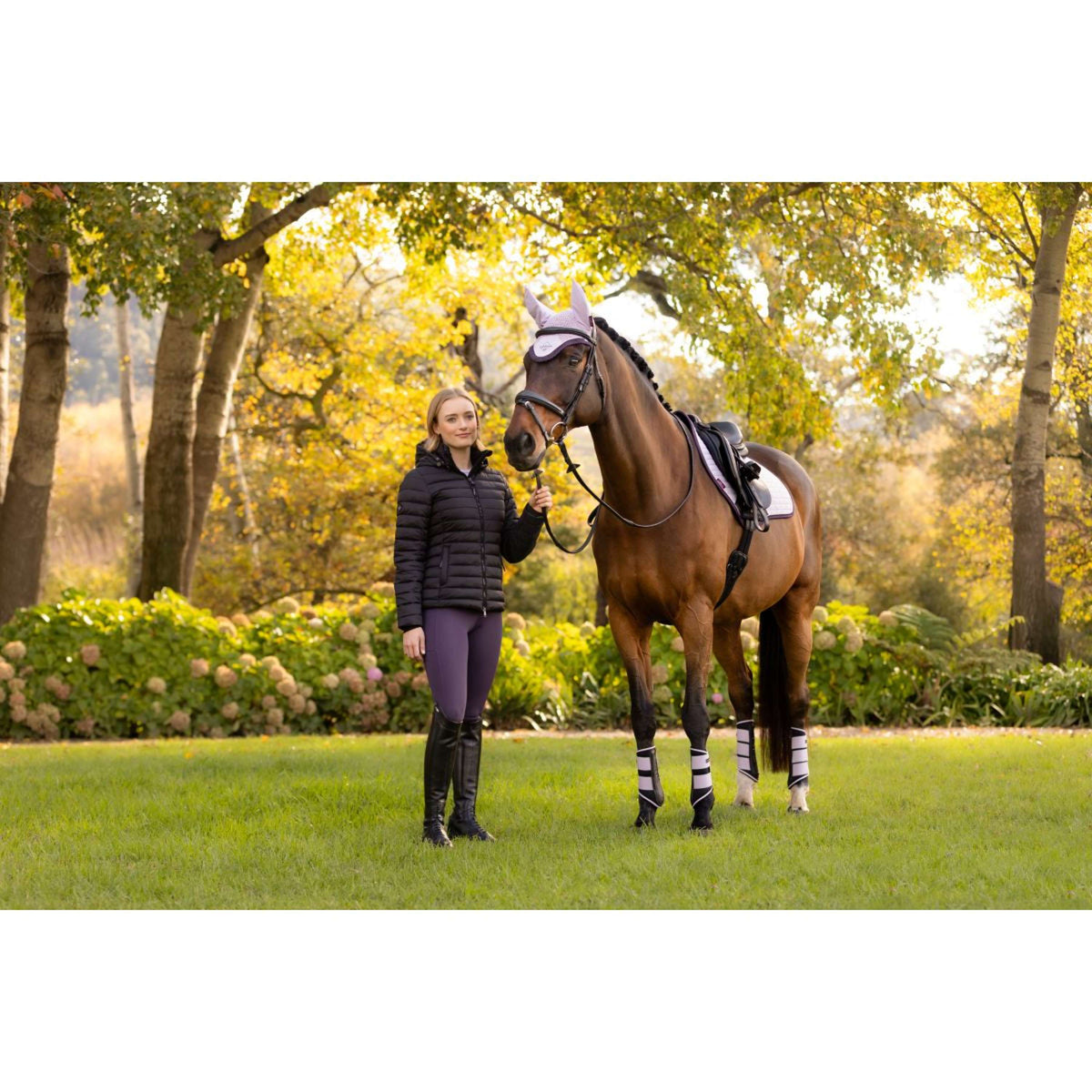 LeMieux Jas Rose Kort Zwart