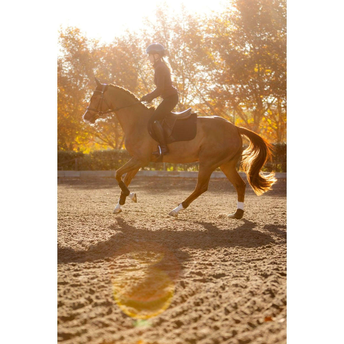 LeMieux Zadeldekje Essence Springen Zwart