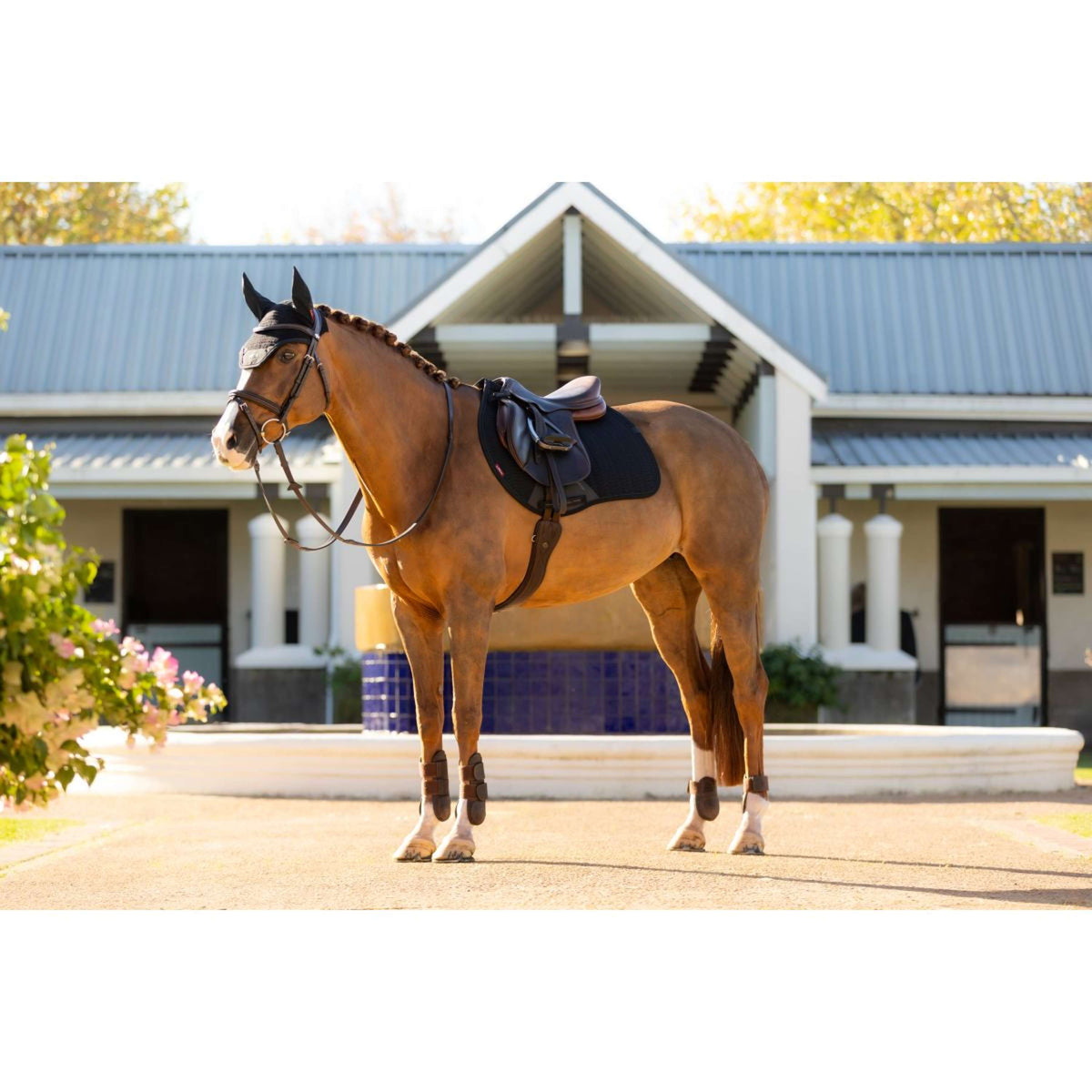 LeMieux Zadeldekje Essence Springen Zwart