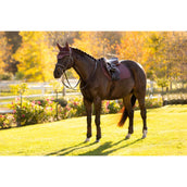 LeMieux Zadeldekje Essence Springen Damson