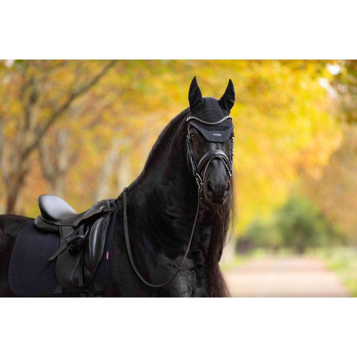 LeMieux Oornetje Essence Zwart